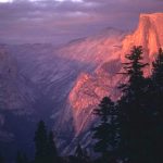 Half Dome and forest