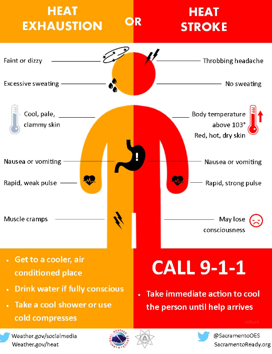 chart of heat exhaustion and heat stroke symptoms