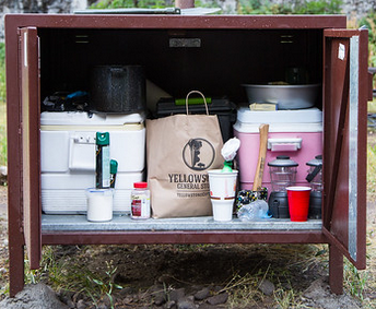 Bear boxes bear resistant food storage containers for campers in campsite  Yosemite National Park California USA Stock Photo - Alamy