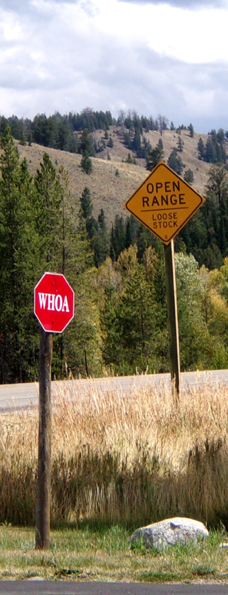 stop sign that says Whoa