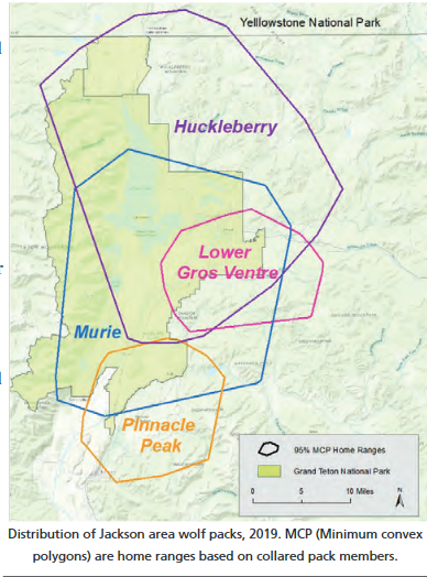 Wolf pack territories in Grand Teton and Yellowstone National Parks and ...