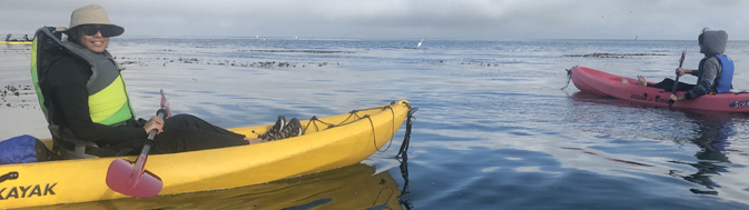 egret in background, kayaks in foreground