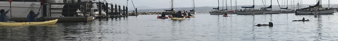 kayakers in harbor