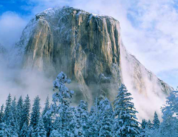 El Capitan with snowy trees in foreground