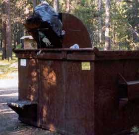 bag of trash sticking out of trash bin