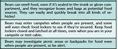 advice about bears: Bears can smell food, even if it’s sealed in the trunk or glove com- partment, and they recognize boxes and bags as potential food sources. They can easily and quickly break into all kinds of vehicles!