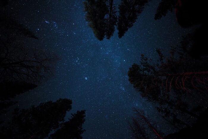stars in center of night sky photo, surrounded by tree tops