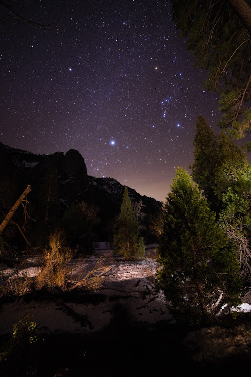 starry sky and some lights from building on trees