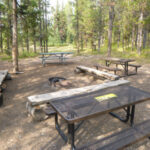 picnic tables and fire ring