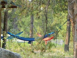 3 hammocks hanging from trees