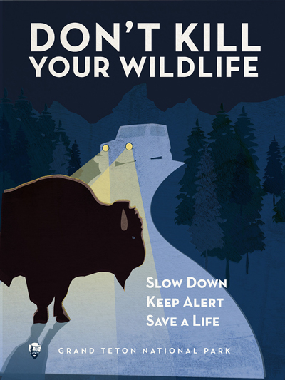 bison in car headlights poster says don't kill your wildlife, slow down keep alert, save a life