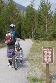 man walking his bike on a paved path