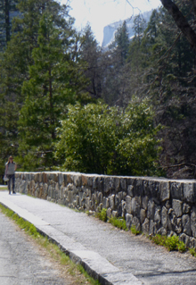 bridge and scenery