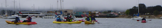 almost a row of kayaks