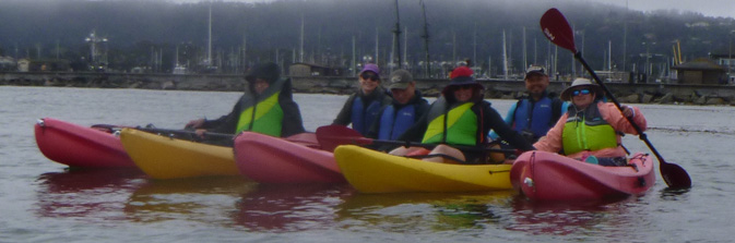row of kayaks