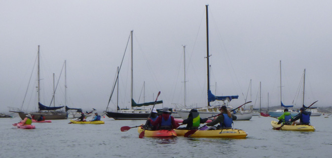 kayaks and sailboats