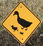 Baylands sign duck crossing