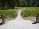 path to meadow
