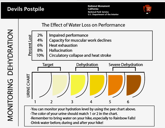 Urine Color Chart for Comfort Stations to monitor dehydration NPS – Mary  Donahue