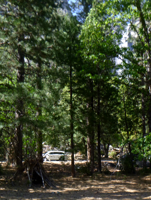 waterfall behind tree branches, vehicle on road