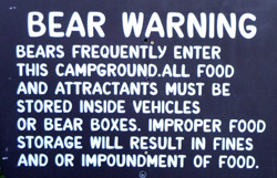 bear warning sign