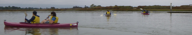 3 tandem kayaks at baylands preserve