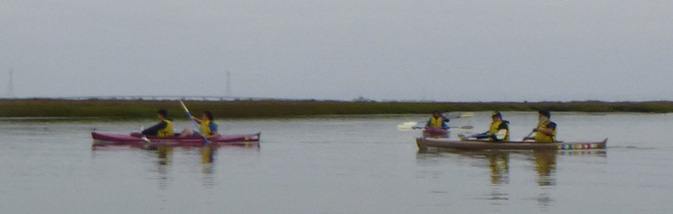 kayakers at baylands october 2022