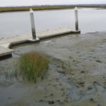 dock with water level near low tide