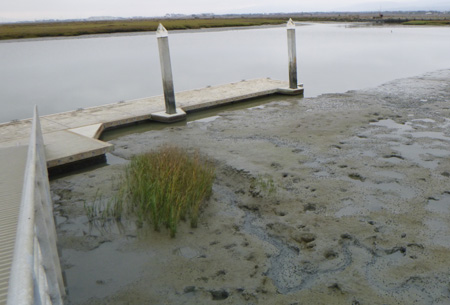 dock with water level near low tide