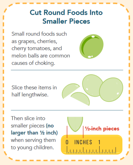 Snapshot of Fresh Concord Grapes Choking Hazard Risk Factors