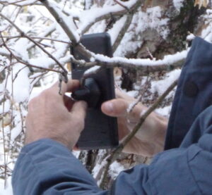 attaching a cell phone to a tree branch
