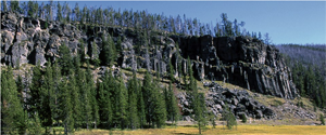 cliff and trees