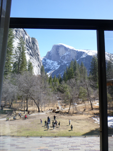 ahwahnee hotel room view from room 224
