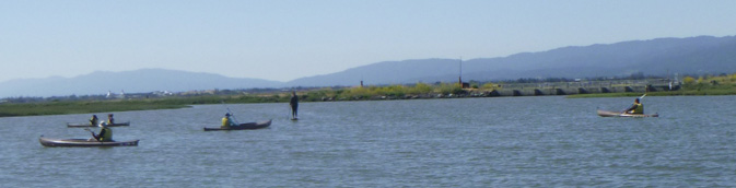 kayakers and stand up paddle board