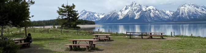 one picnic table in shade, others in full sun