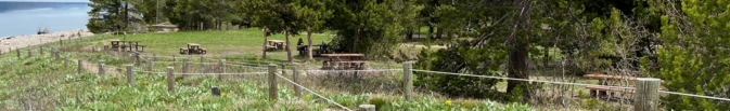 picnic tables