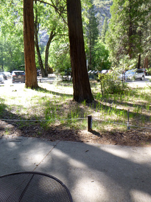 patio view towards parking lot