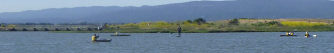 kayaks and paddleboard