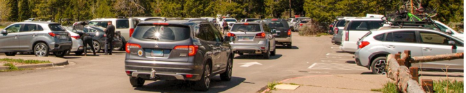 rows of cars