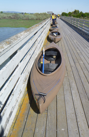 kayaks in a row