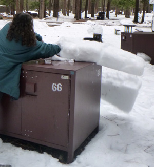 sliding a block of ice off a bear box