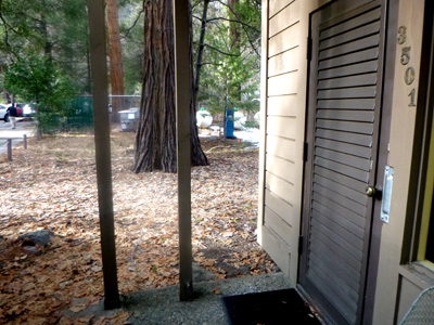 patio looking out to forest with tanks