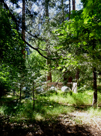 trees, tanks, and cliffs beyond