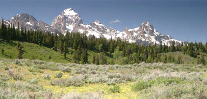 sagebrush and mountains