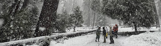 people on trail with huge snowflakes falling