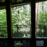 view through room window out to balcony and forest