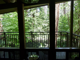 Yosemite Valley Lodge Aspen Building view to forest from room