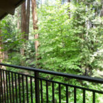 balcony railing and forest