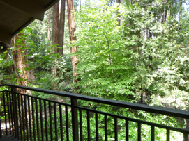 Yosemite Valley Lodge Aspen balcony at rear view to forest