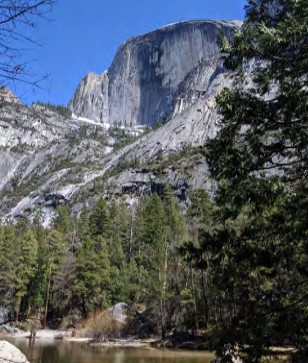 Half Dome above forest at edge of lake